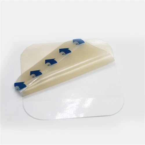 Gesso Hidrocolóide